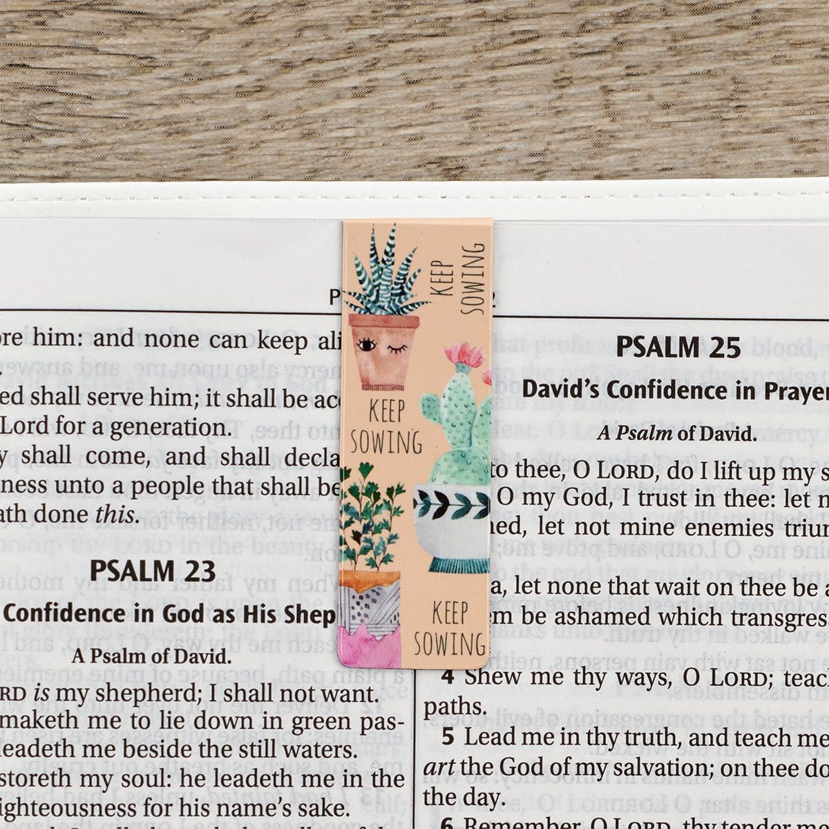 1220000137202_feature1 Grow In Grace Magnetic Bookmarks Set Of 6 - Image 3