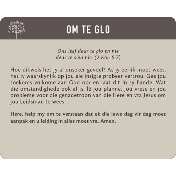 Geanker In Die Woord Afrikaans Prayer Cards In Tin - Image 2