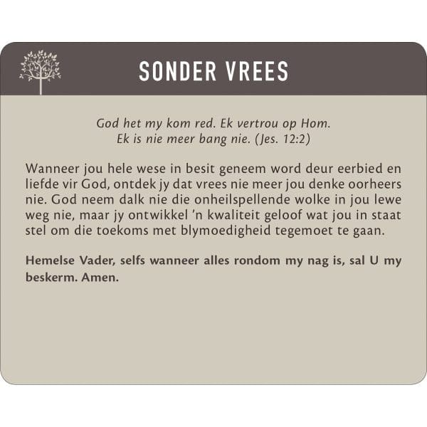 Geanker In Die Woord Afrikaans Prayer Cards In Tin - Image 4