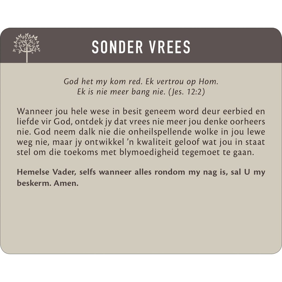 6006937147249_feature3 Geanker In Die Woord Afrikaans Prayer Cards In Tin - Image 4