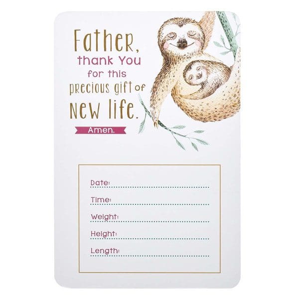 My Baby Girl's Milestones (Boxed Cards) - Image 4