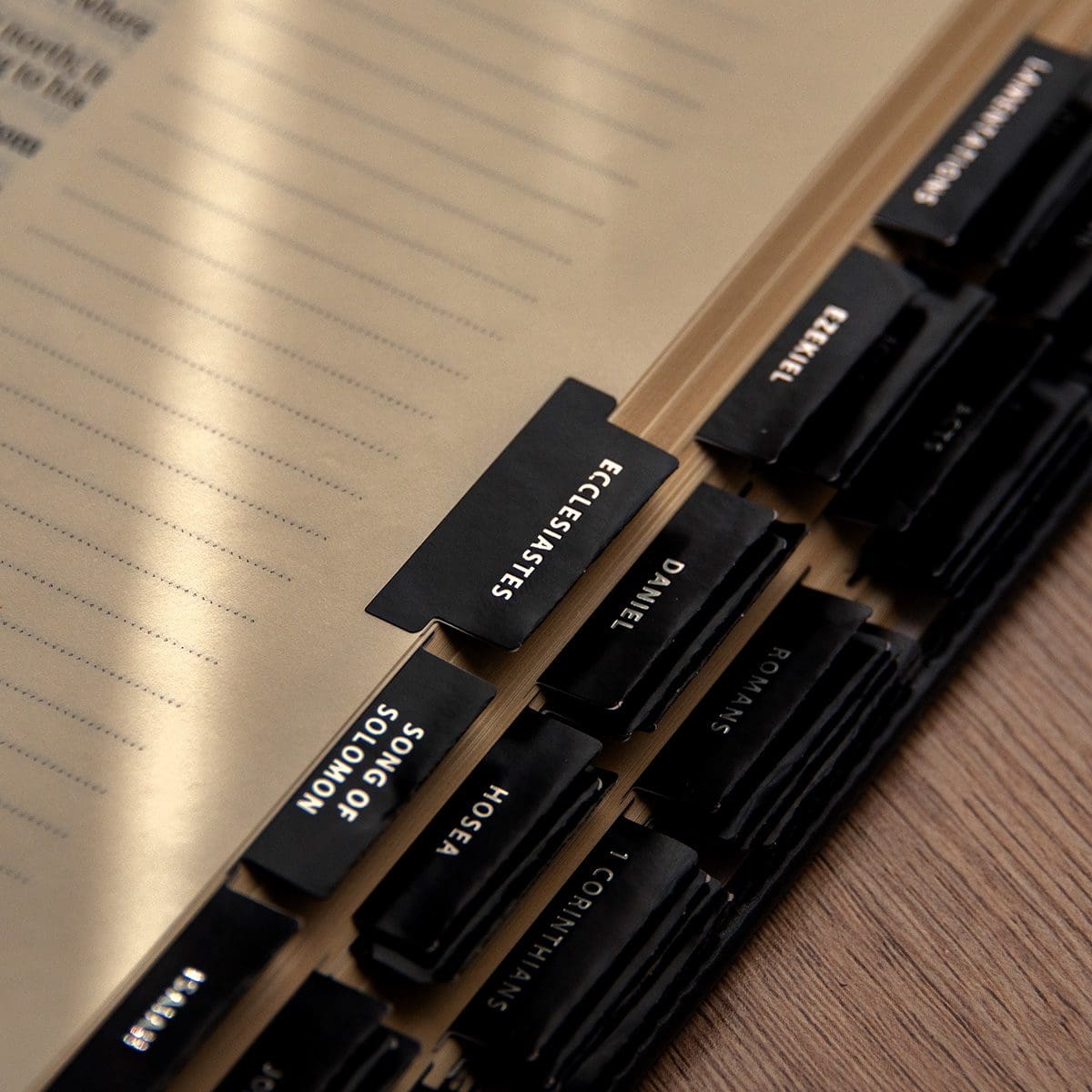 6006937160668_feature1 Old And New Testament Black With Matt Silver Bible Indexing Tabs - Image 3