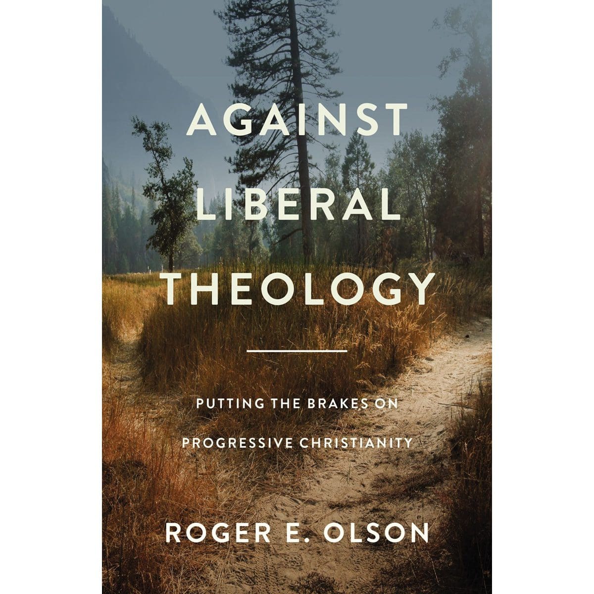 9780310139430_front Against Liberal Theology: Putting The Brakes On / Christianity (Paperback) - Image 1