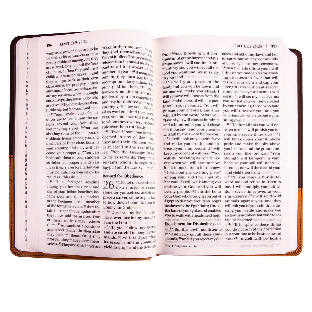 9780310429401_feature3 NIV Chocolate & Amber Two Tone Faux Leather Holy Bible Larger Print - Image 5