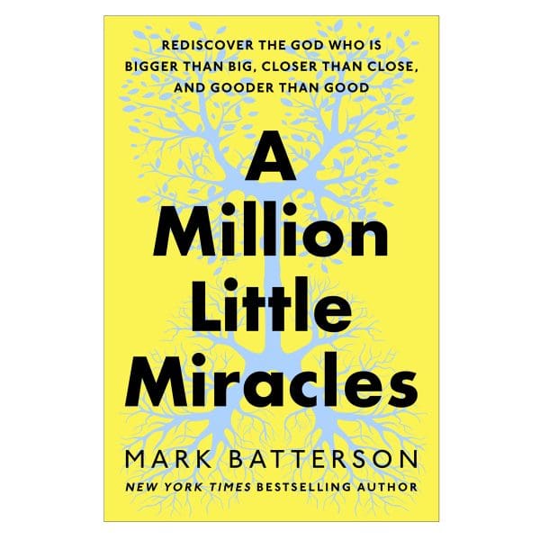 A Million Little Miracles: Rediscover the God Who Is Bigger than Big HC - Image 1