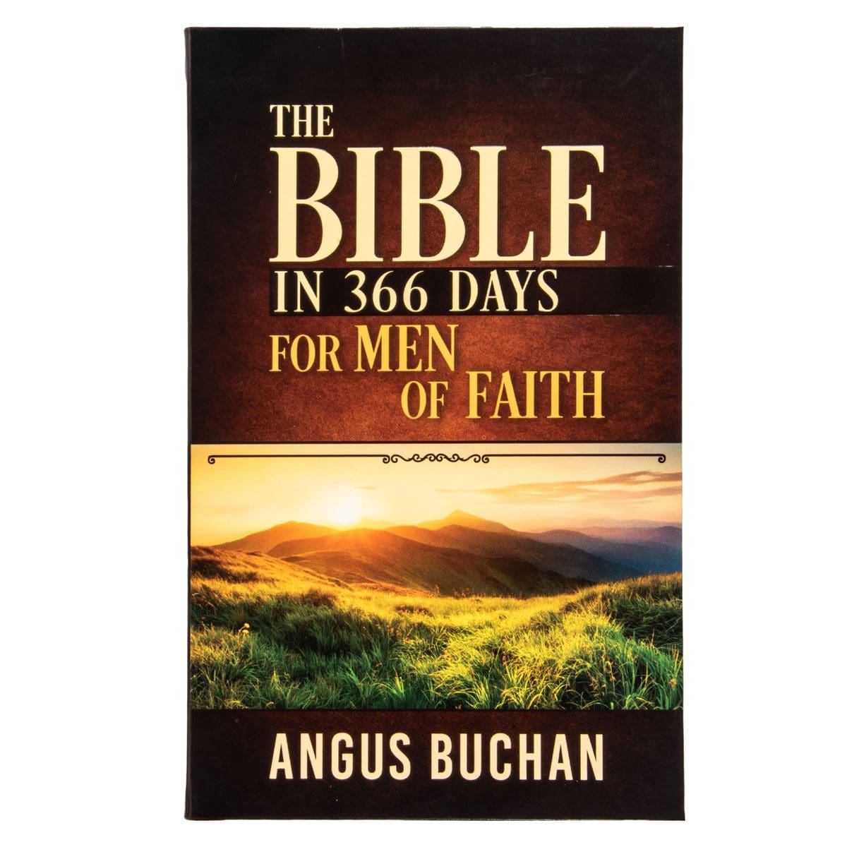 9780638000467_front The Bible In 366 Days For Men Of Faith New Cover (Paperback) - Image 1
