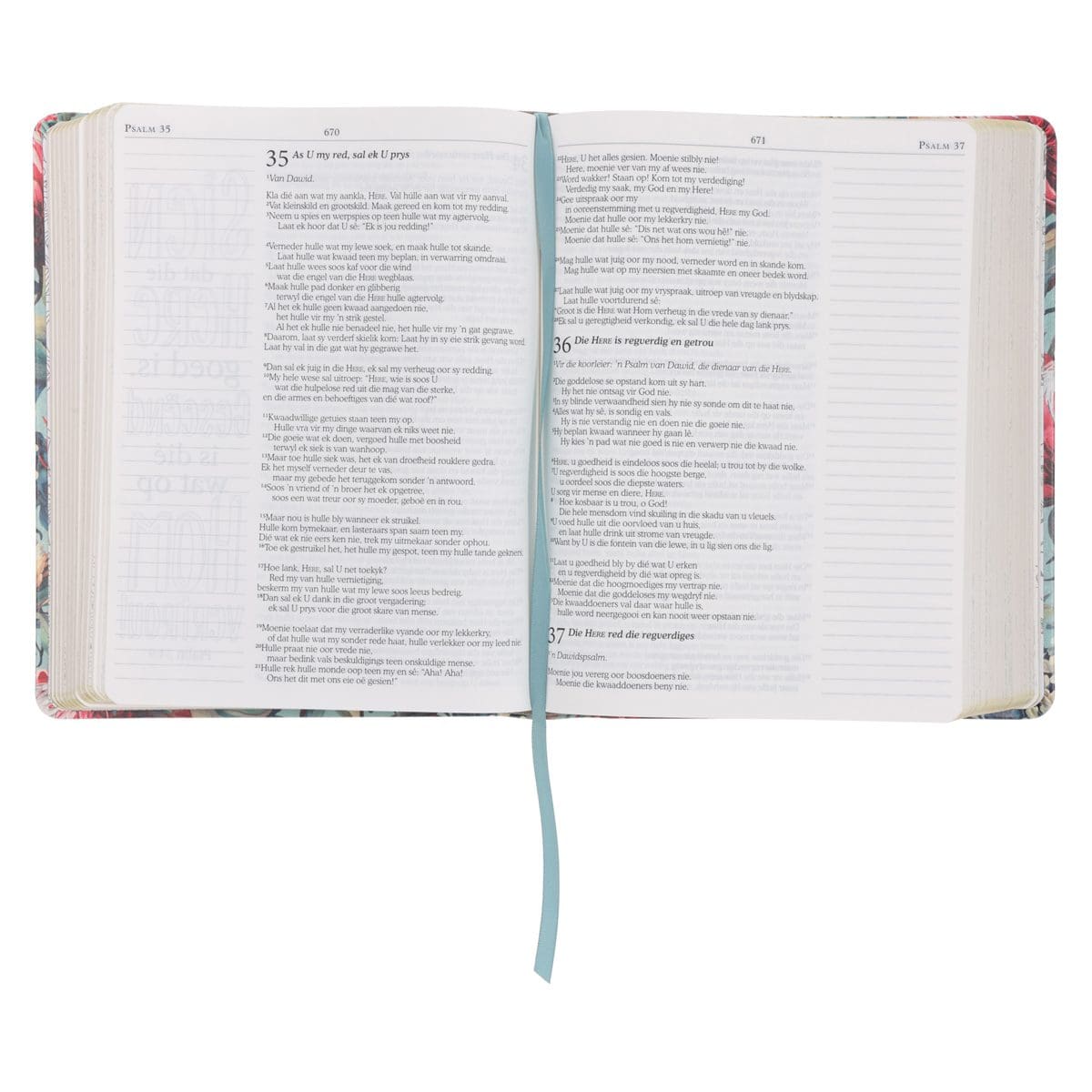 9780638009613_feature2 NLV Proteas Kunsleer My Kreatiewe Joernaal-Bybel - Image 3