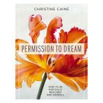 Permission to Dream: How to be Radically Resilient and Hopeful (Paperback)