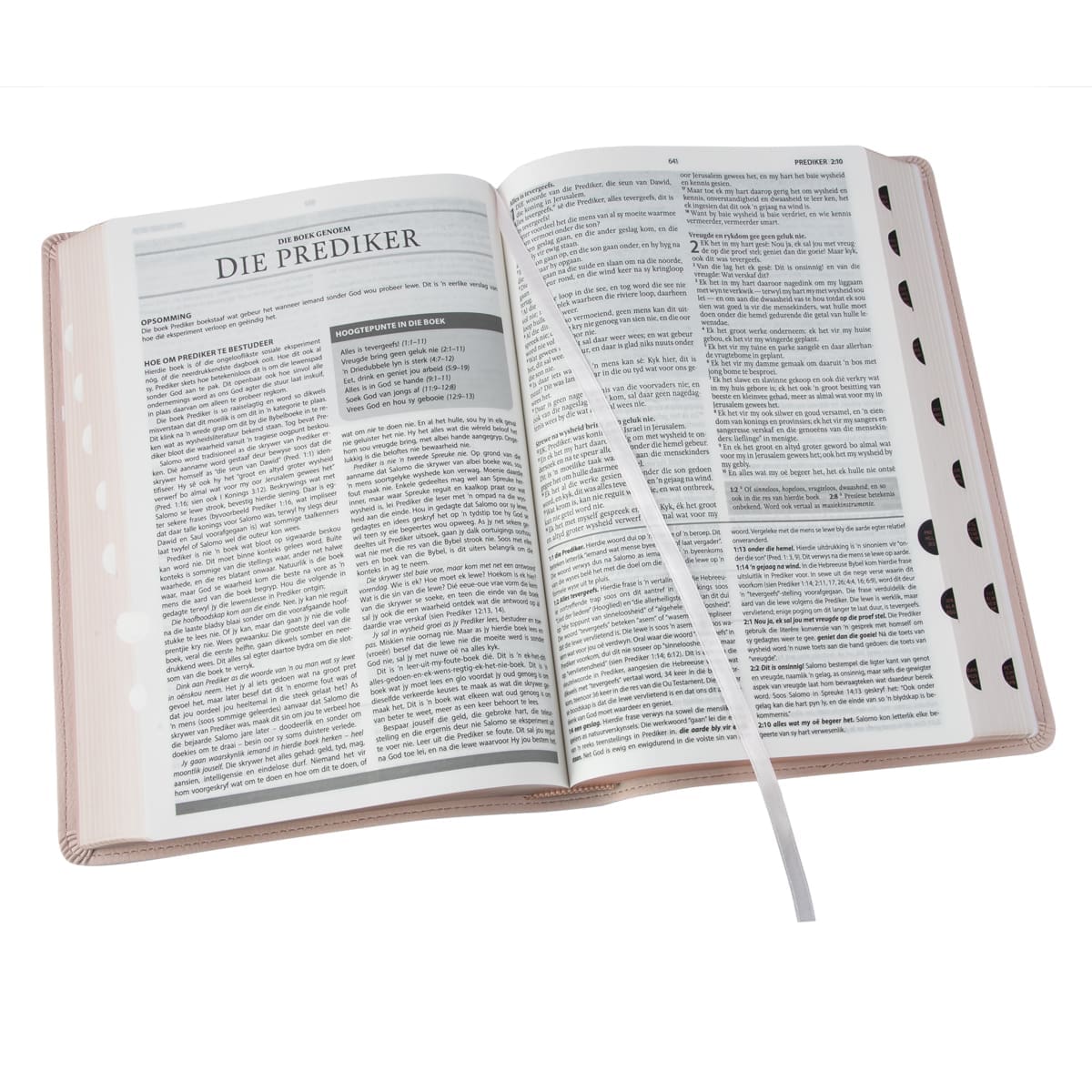 9781415342053_feature3 Afrikaans 1933/1953 Vertaling Ligroos Kunsleer Verklarende Studiebybel - Image 5