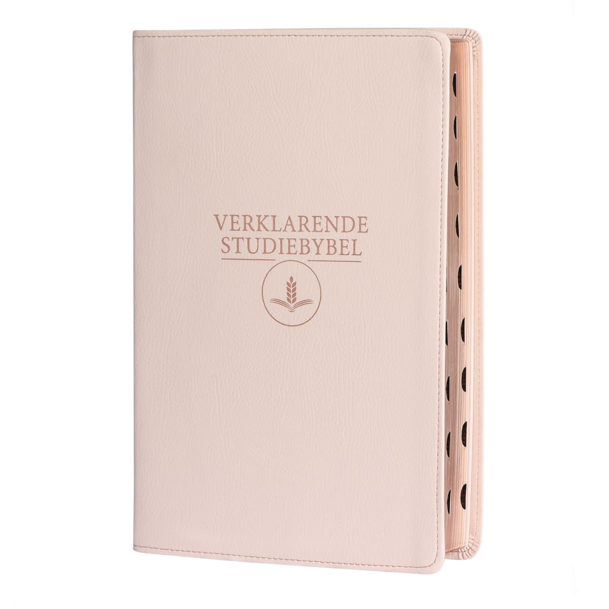 9781415342053_front Afrikaans 1933/1953 Vertaling Ligroos Kunsleer Verklarende Studiebybel - Image 1