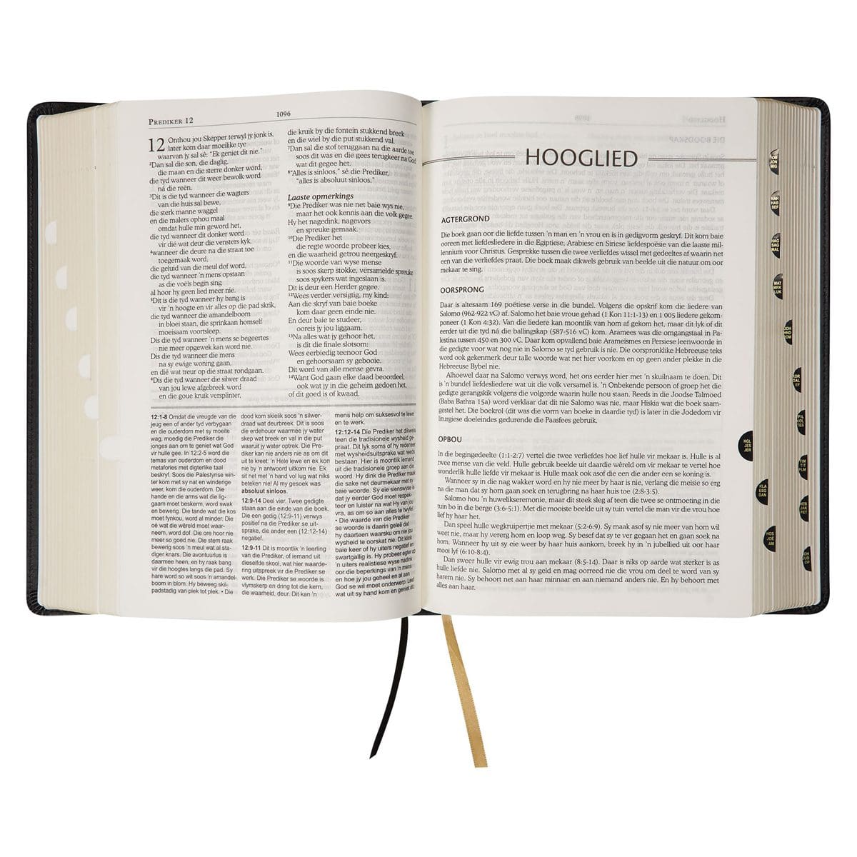 9781431623327_feature4 NLV Swart Kunsleer Tematiese Studiebybel Met Duimgrepe - Image 6