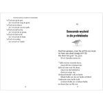 God Se Beloftes Van Hoop En Herstel (Sagteband) - Image 2