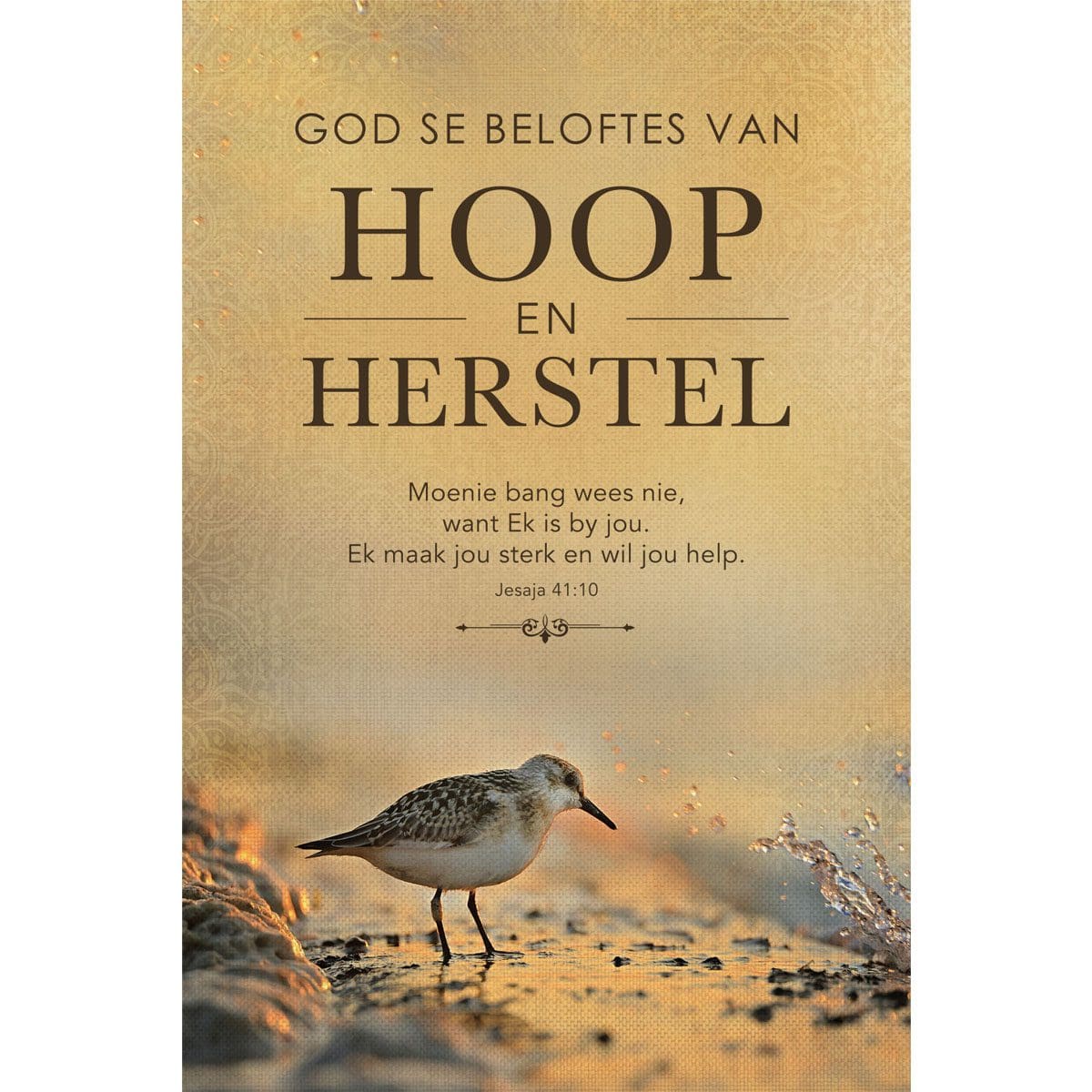 9781431624942_front God Se Beloftes Van Hoop En Herstel (Sagteband) - Image 1