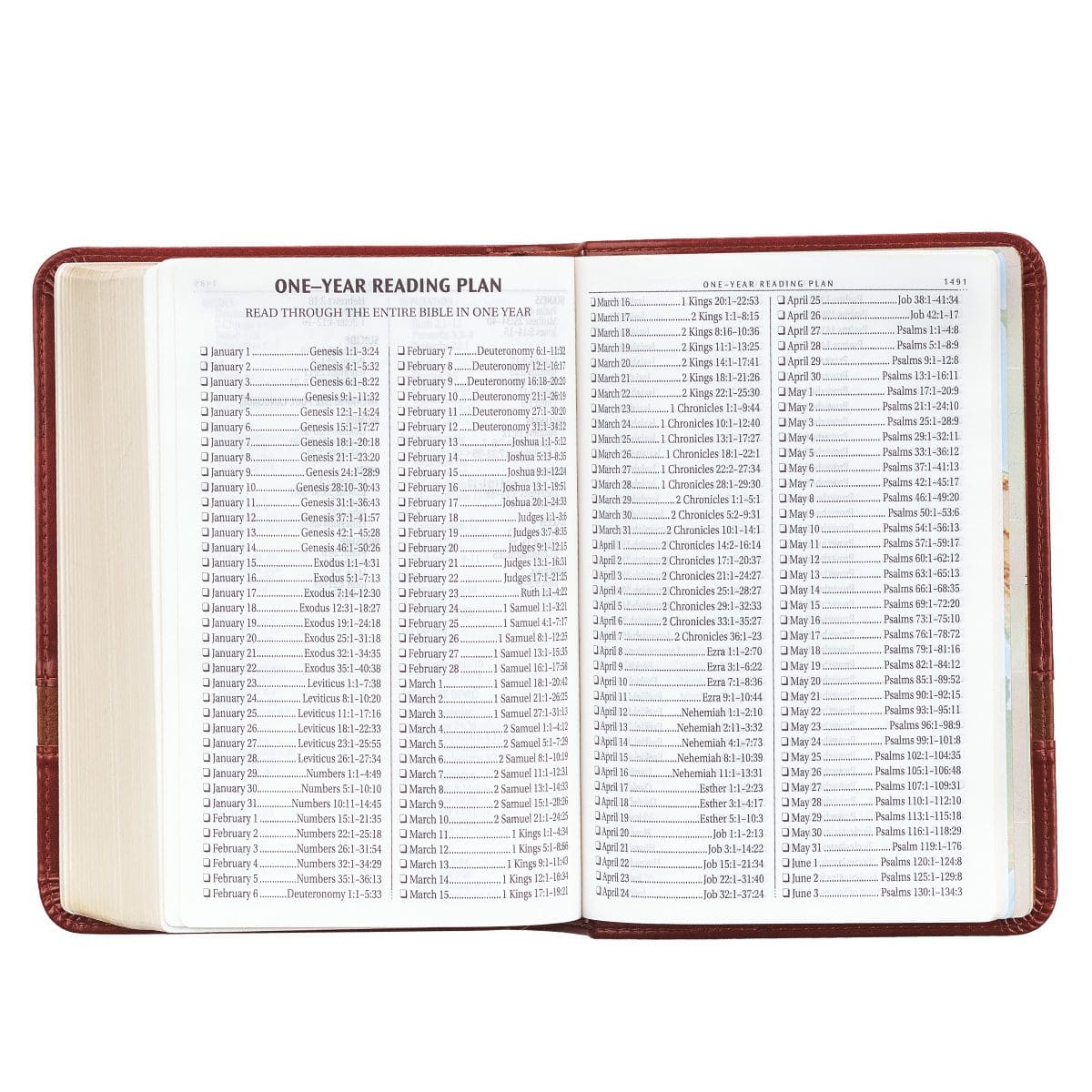 9781432117337_feature5 KJV Brown Faux Leather Compact Bible Large Print Red Letter - Image 6