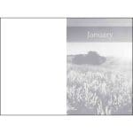 A Mustard Seed (Padded Hardcover) - Image 2