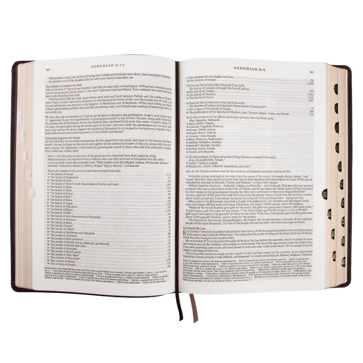 9781432134662_feature5 NLT Dark Brown Faux Leather Thumb Indexed Spiritual Growth Bible - Image 7
