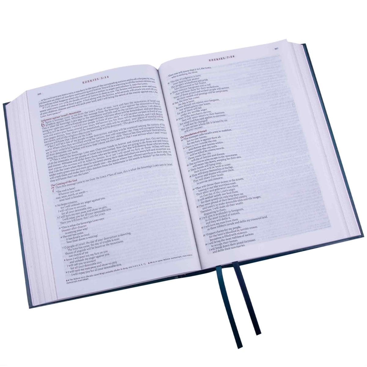 9781432134679_feature3 NLT The Spiritual Growth Bible Teal Hardcover - Image 5