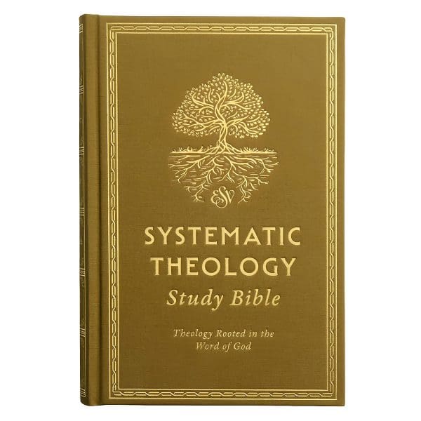 ESV Ochre Hardcover Systematic Theology Study Bible - Image 1