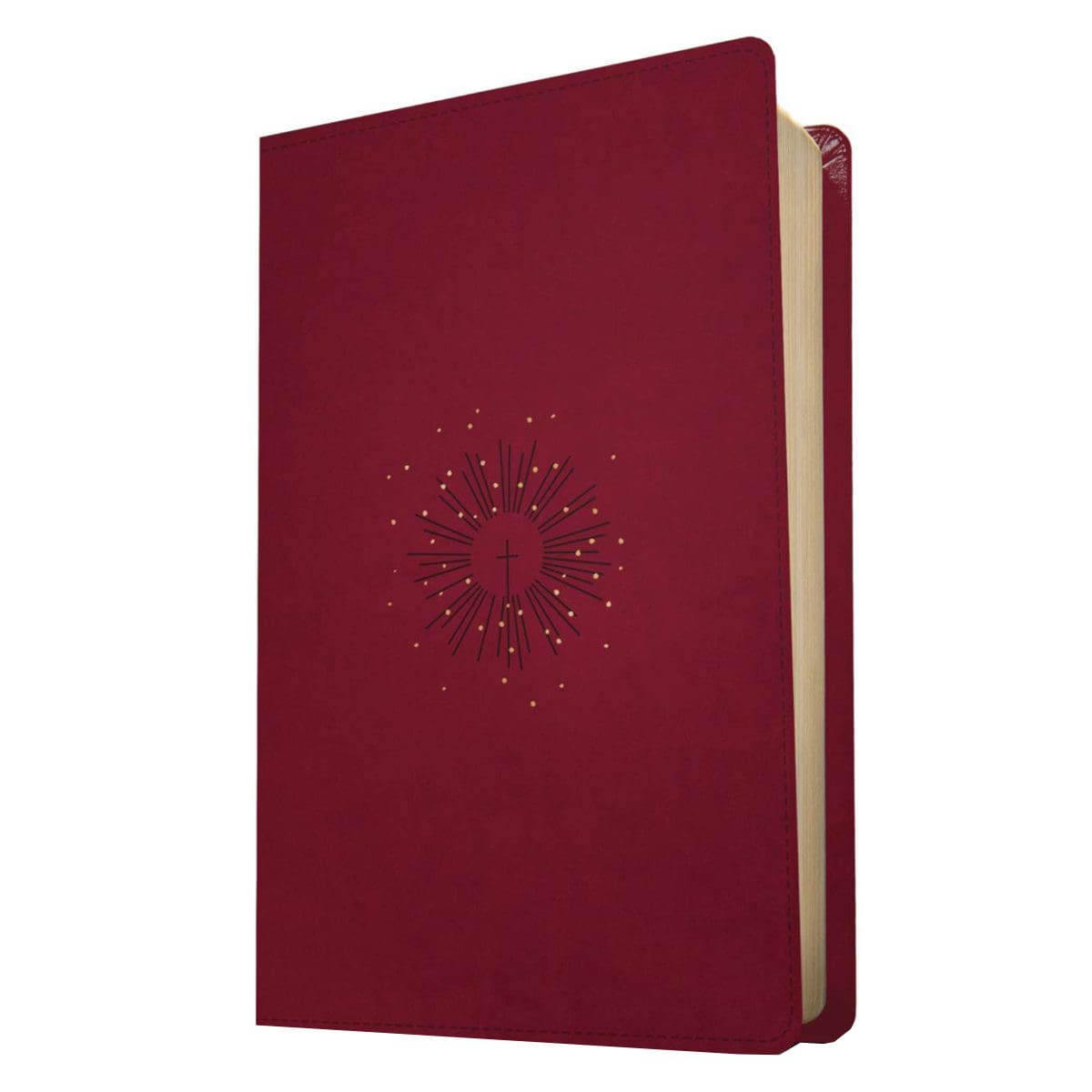 9781496444837_feature1 NLT Filament Thinline Reference Bible Red Letter Aurora Cranberry (Imitation Leather) - Image 3
