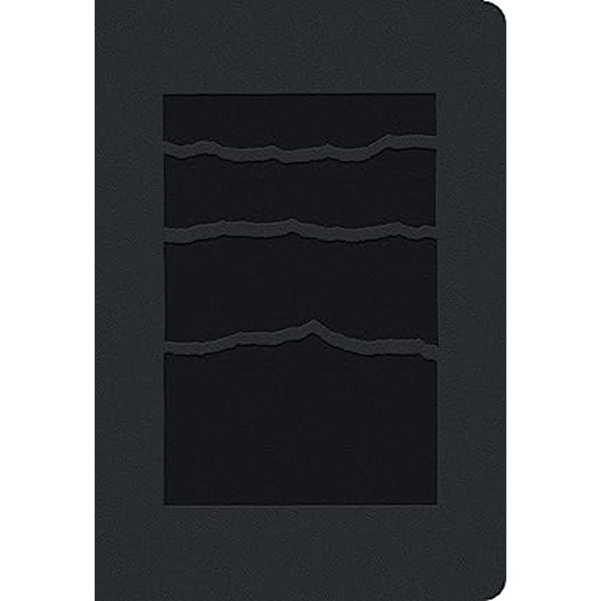 9781496479266_front NLT Black Mountainscape Imitation Leather Premium Value Filament Compact Bible - Image 1