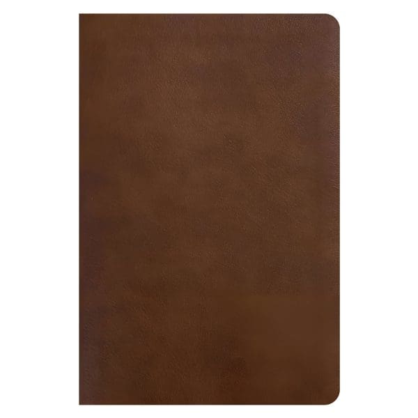 NLT Rustic Brown Imitation Leather One Year Chronological Study Bible - Image 2