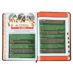 KJV Brown Lion Faux Leather Flexcover Kids Bible Large Print - Image 7
