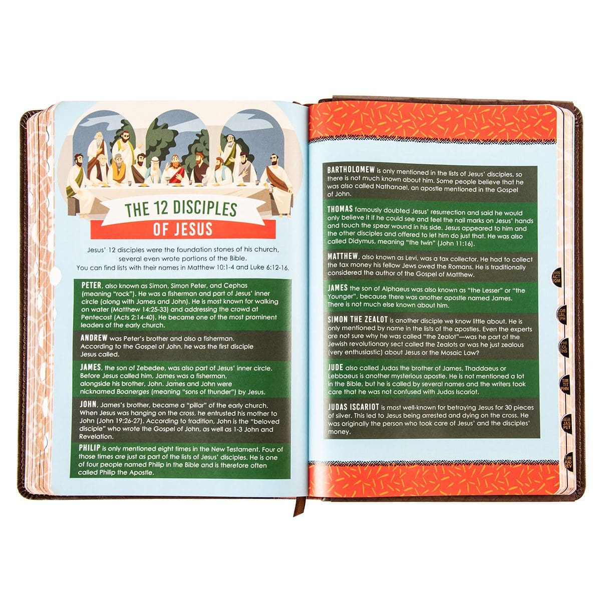 9781639522989_feature5 KJV Brown Lion Faux Leather Flexcover Kids Bible Large Print - Image 7