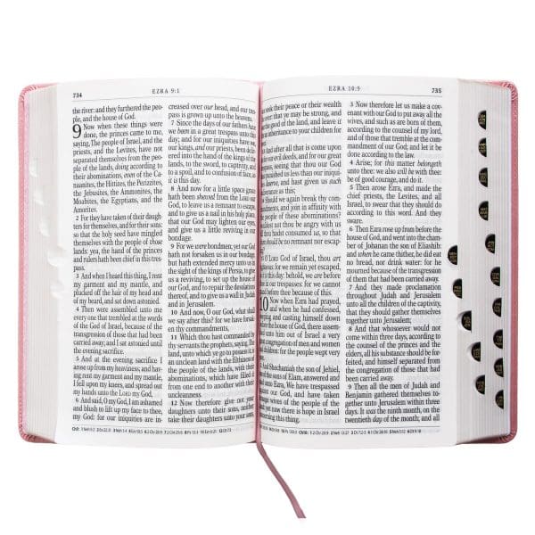 KJV Pink Faux Leather Bible Giant Print - Image 6