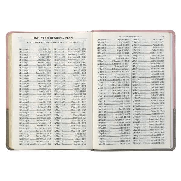 KJV Pink And Grey Faux Leather Bible Super Giant Print - Image 7