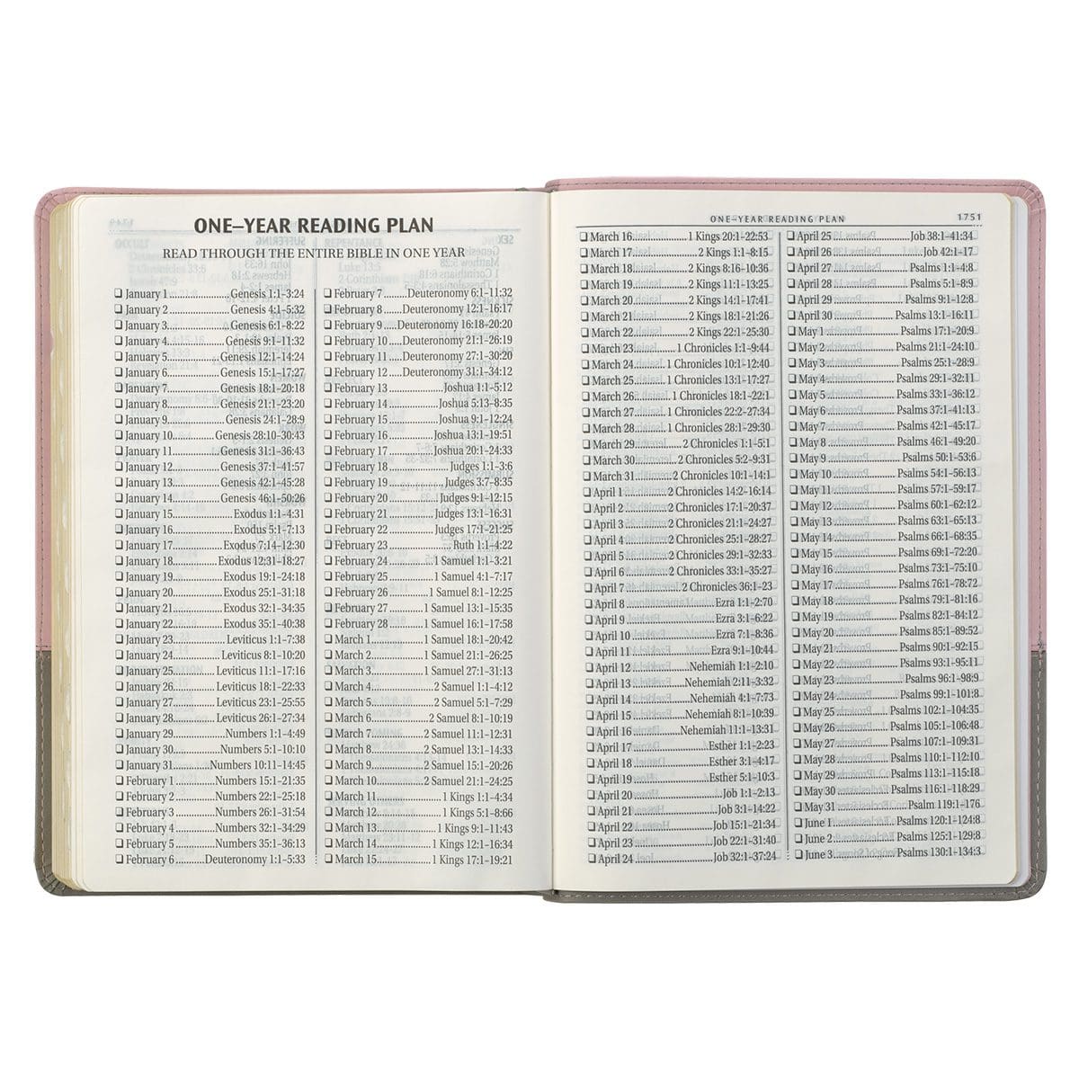9781642728415_feature5 KJV Pink And Grey Faux Leather Bible Super Giant Print - Image 7