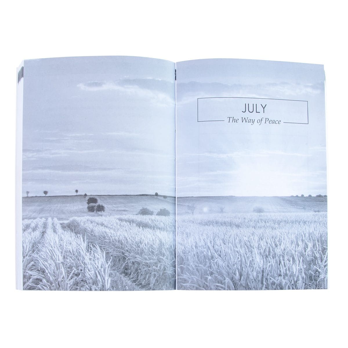 9781776371143_feature4 Pocket Prayers For Every Day (Paperback) - Image 5