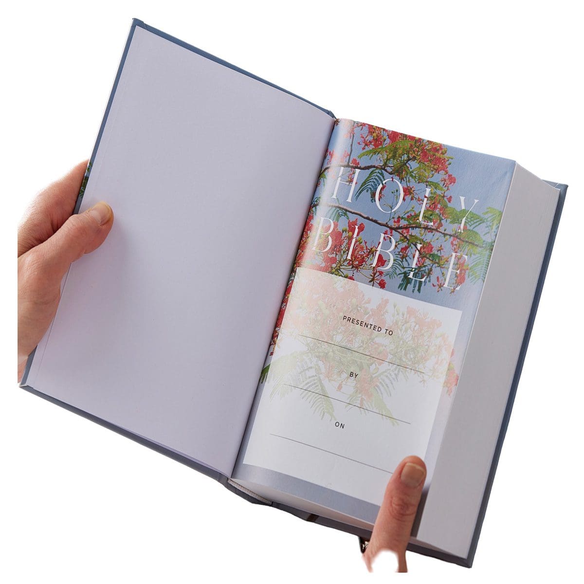 9781400337163_feature2 NRSV Bird of Paradise Hardcover Catholic Edition Holy Bible Global Cover Series - Image 3