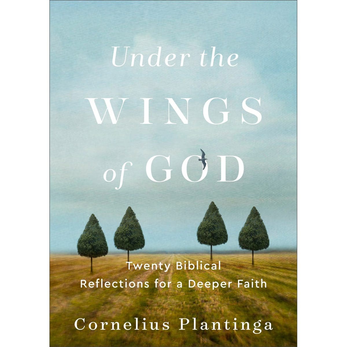 9781540966179_front Under The Wings Of God: Twenty Biblical Reflections For A Deeper Faith (Paperback) - Image 1