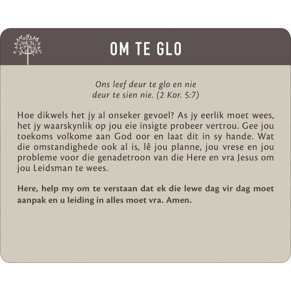 Geanker In Die Woord Afrikaans Prayer Cards In Tin - Image 7