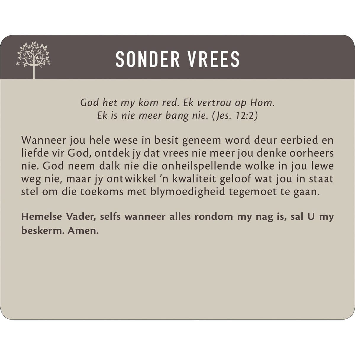 6006937147249_feature3_918fc474-d111-4c22-a230-b4d7168df153 Geanker In Die Woord Afrikaans Prayer Cards In Tin - Image 9