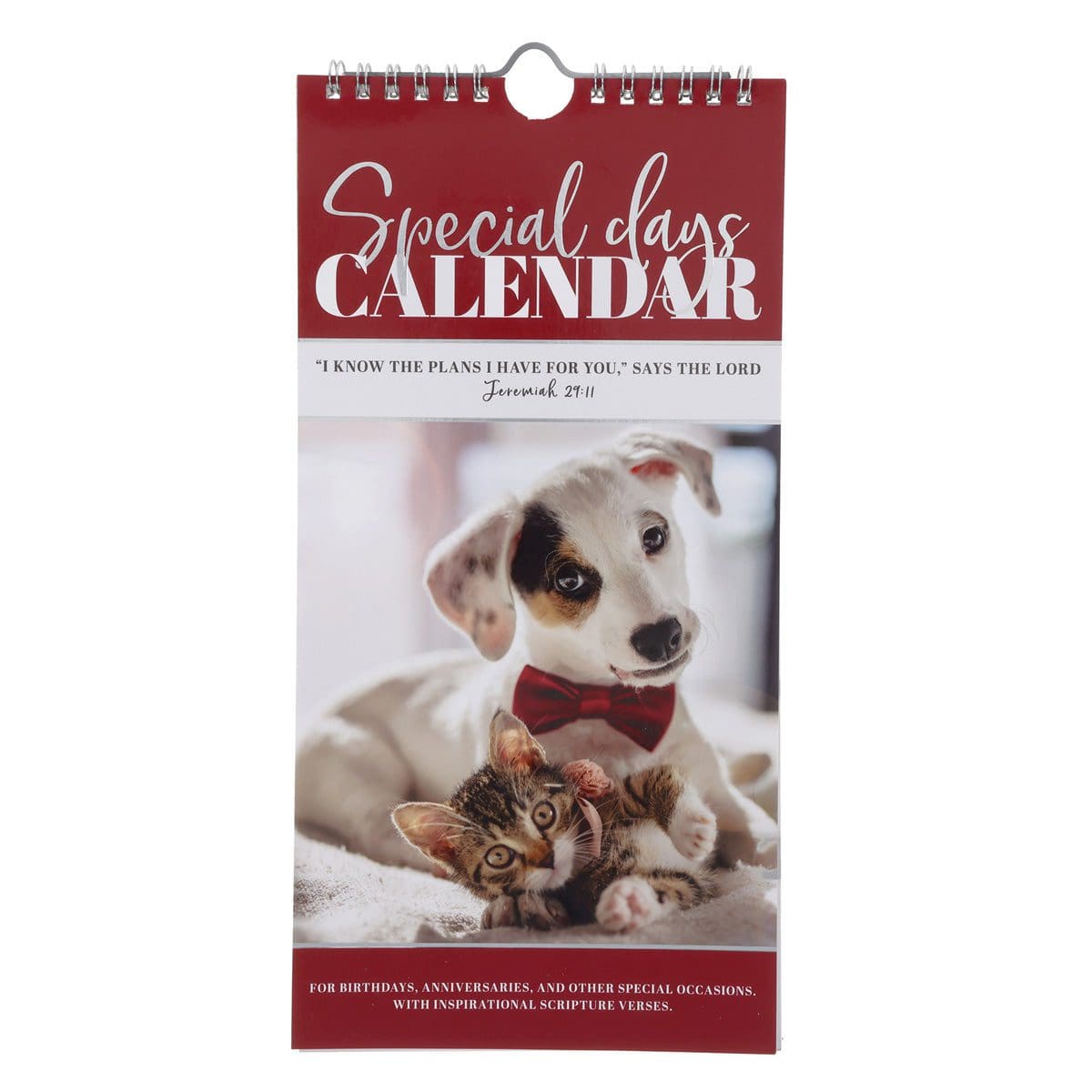 6006937172609_front Plans to Prosper You Pets Design Special Days Calendar - Image 1