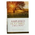 Amplified Holy Bible Large Print (Hardcover) - Image 3