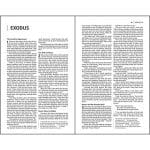 NIV Value Thinline Bib Gray / Black (Comfort Print)(Imitation Leather) - Image 7