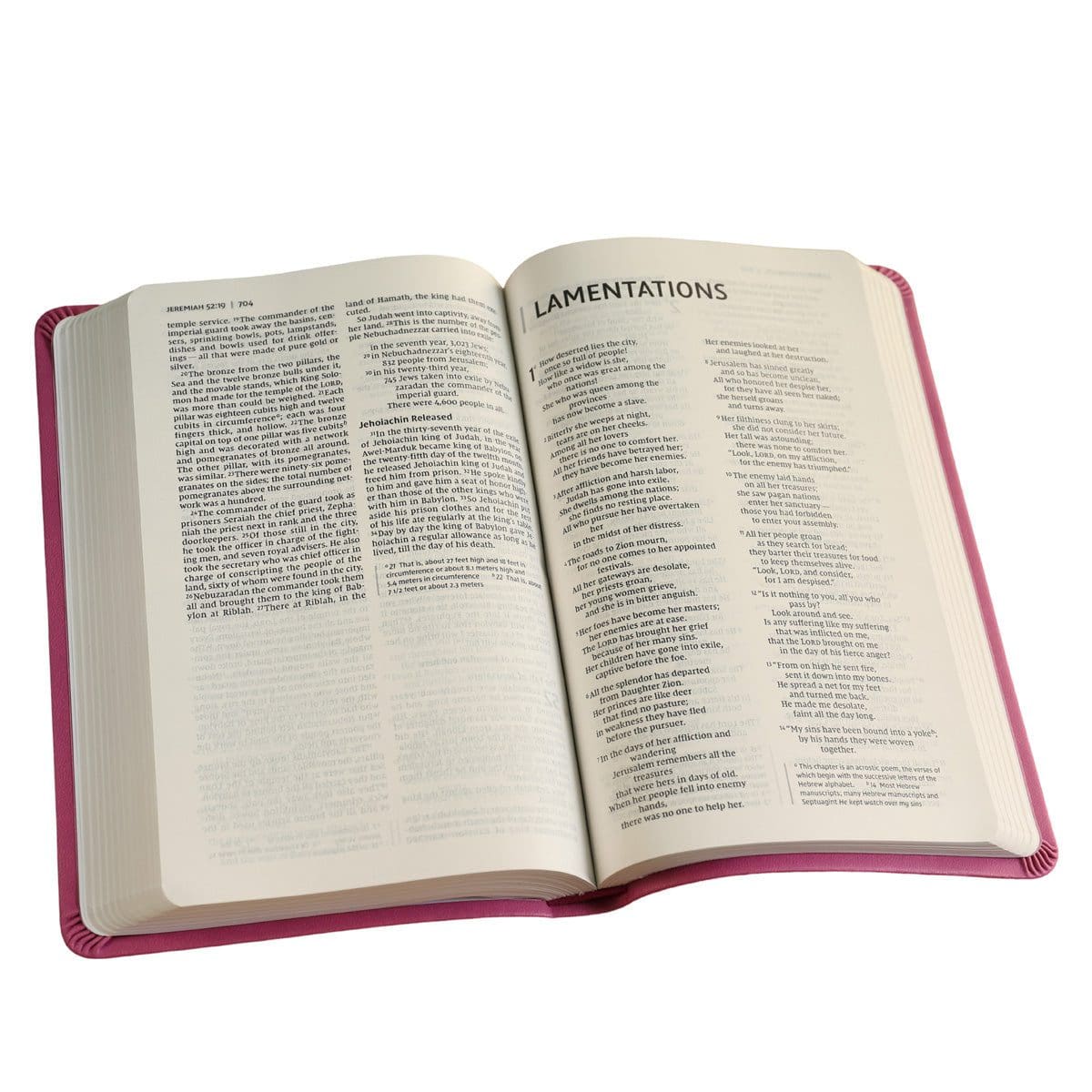 9780310448495_feature3 NIV Value Thinline Bible Pink (Comfort Print)(Imitation Leather) - Image 11