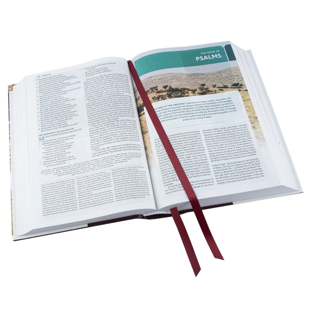 9780785220626_feature2 NKJV Study Bible Red Letter Complete Full Color (Comfort Print)(Hardcover) - Image 10