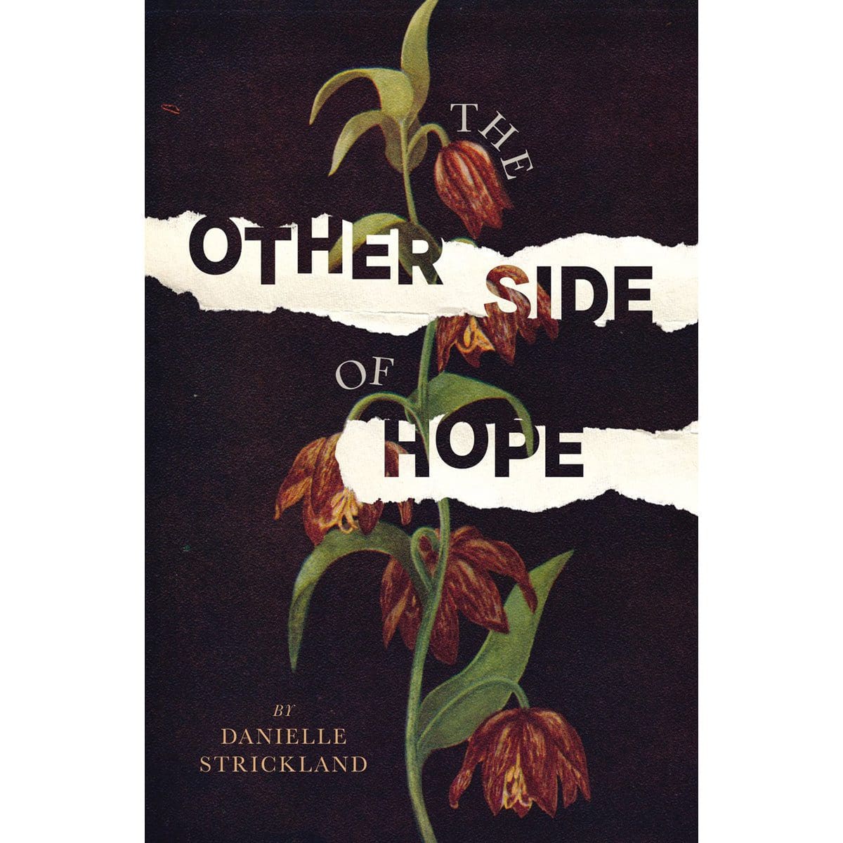 9780785230175_front The Other Side Of Hope (Paperback) - Image 3