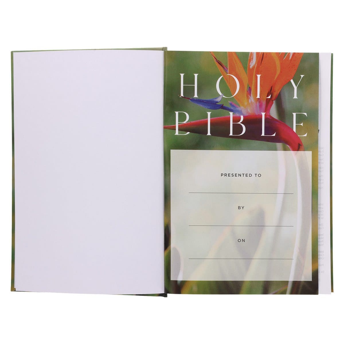 9781400337163_feature2 NRSV Bird of Paradise Hardcover Catholic Edition Holy Bible Global Cover Series - Image 10