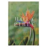 NRSV Bird of Paradise Hardcover Catholic Edition Holy Bible Global Cover Series - Image 7