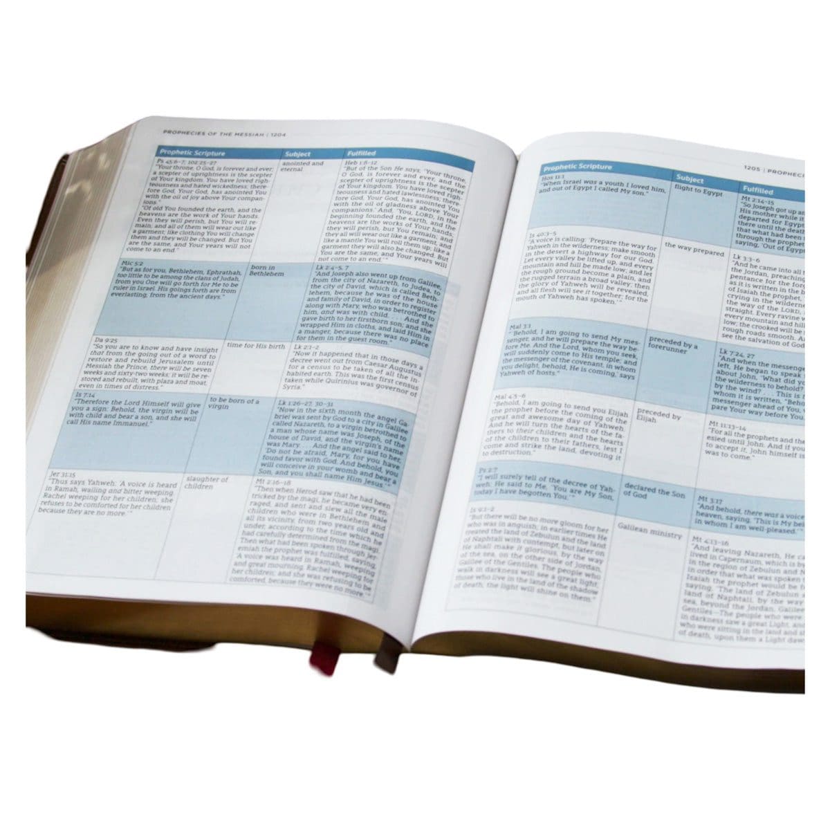 9781400338900_feature3 LSB Hardcover MacArthur Study Bible 2nd Edition Comfort Print - Image 5