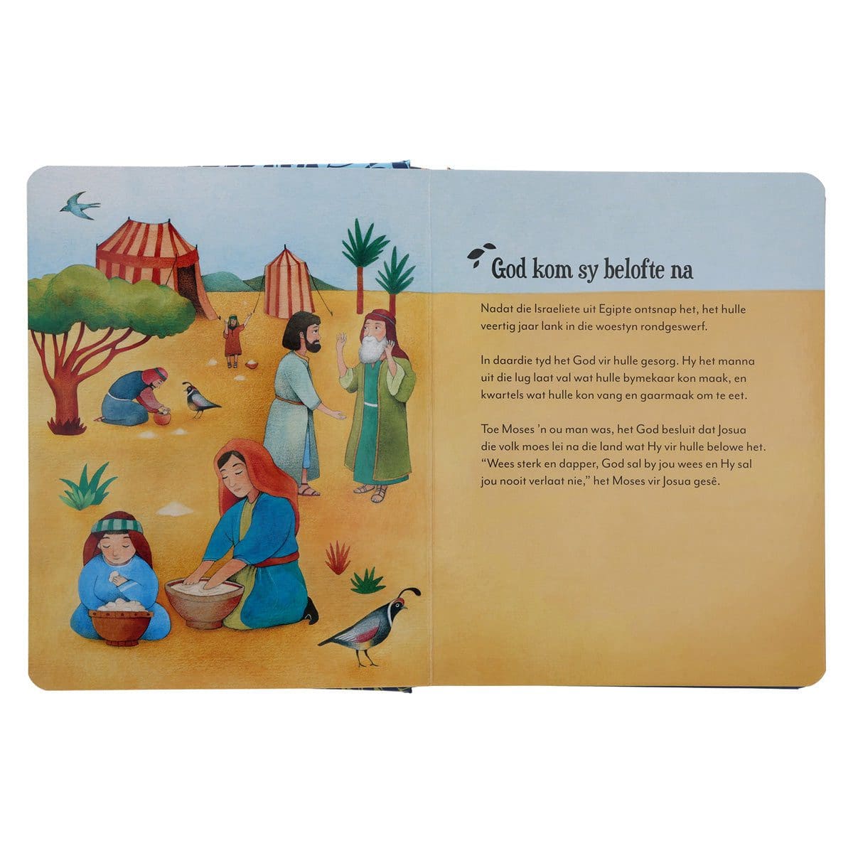 9781415341995_feature3 Die Prentebybel Vir Kleingoed (Hardeband) - Image 12