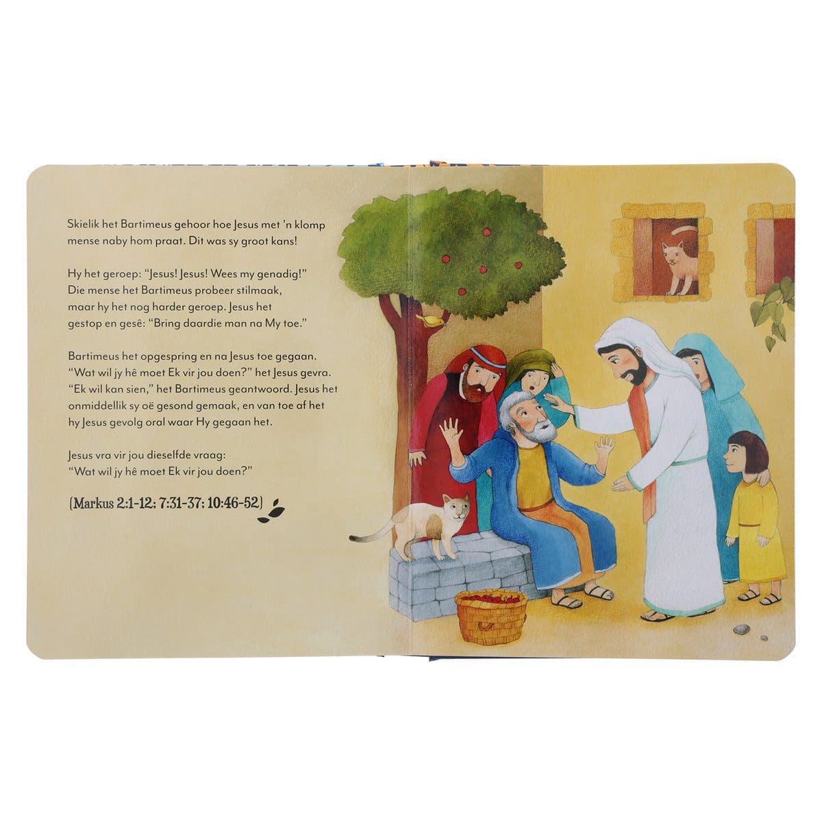 9781415341995_feature5 Die Prentebybel Vir Kleingoed (Hardeband) - Image 14