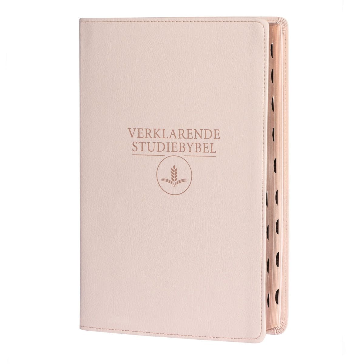 9781415342053_front Afrikaans 1933/1953 Vertaling Ligroos Kunsleer Verklarende Studiebybel - Image 7