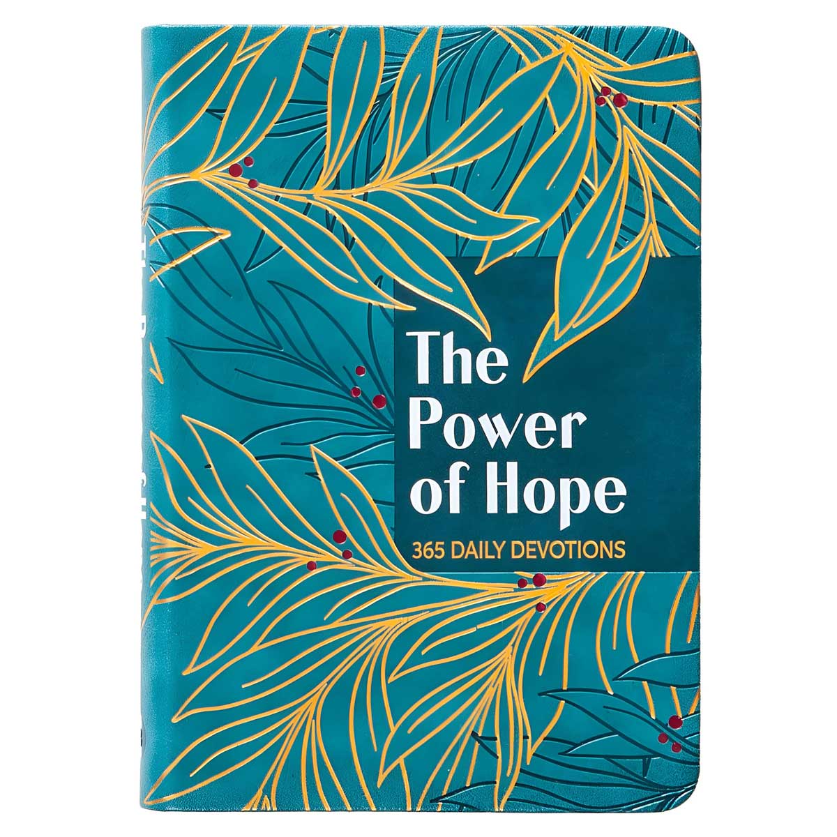 9781424567966_front The Power of Hope: 365 Daily Devotions (Imitation Leather) - Image 2