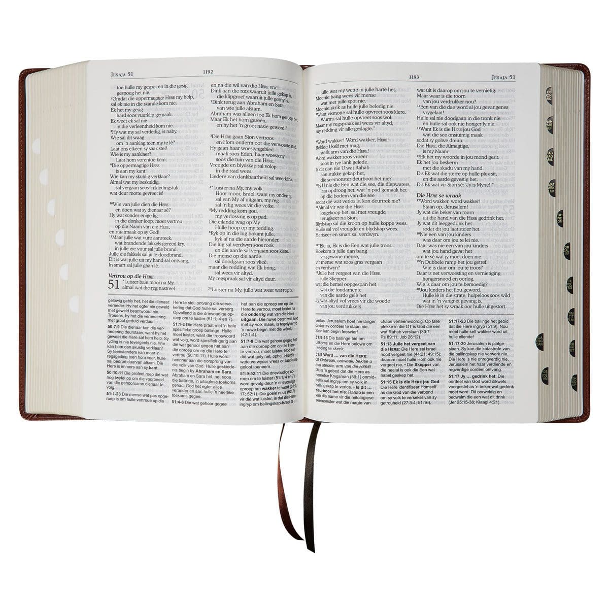 9781431623877_feature4_0bef610c-63f4-4fbe-bba8-872ae82d741e NLV Neutbruin Kunsleer Tematiese Studiebybel Met Duimgrepe - Image 13
