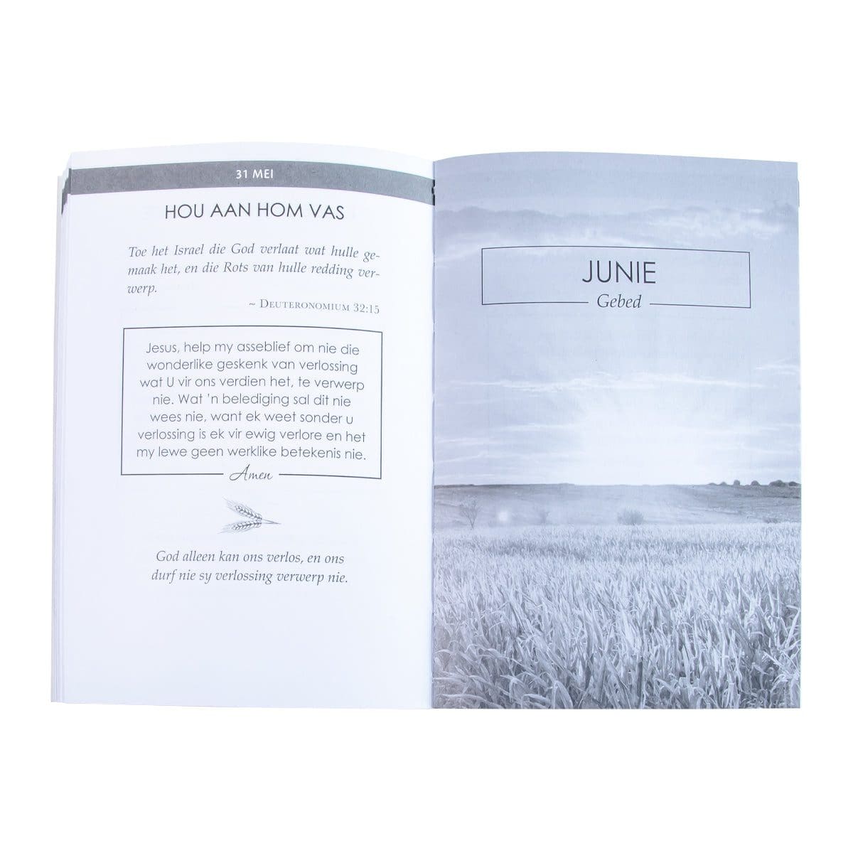 9781431626076_feature3 Sakpas-Gebede Vir Elke Dag (Sagteband) - Image 11